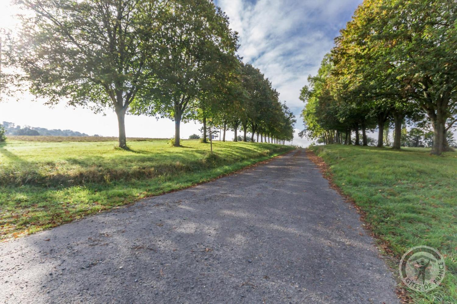 L'Atelier A L'Oree Des Bois Saint-Pierre-en-Auge Esterno foto